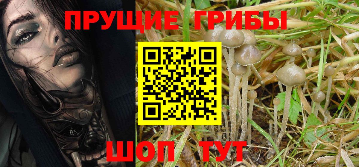 Псилоцибиновые грибы MAGIC MUSHROOMS Тельмана