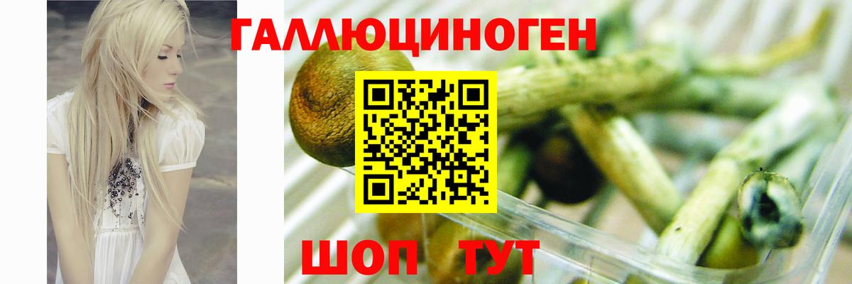 Псилоцибиновые грибы Psilocybine cubensis  Вход с VPN  магазин    Тельмана  Псилоцибиновые грибы прущие грибы 